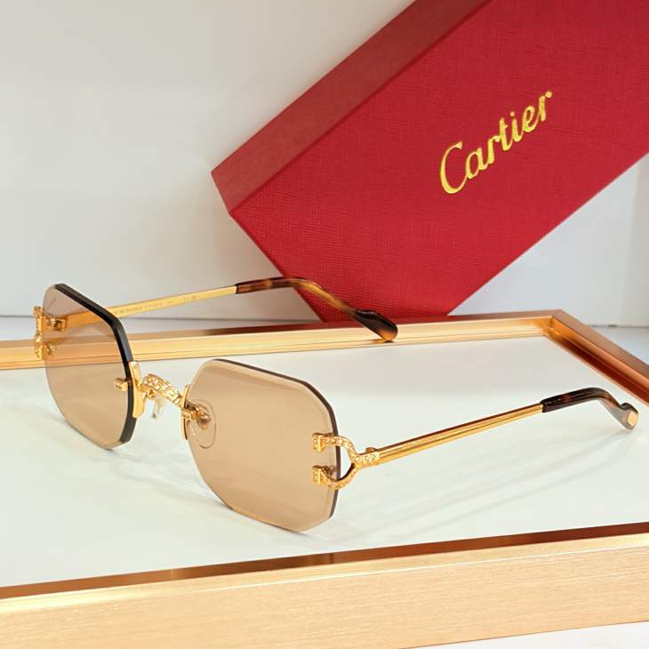 Picture of Cartier Sunglasses _SKUfw80879464fw